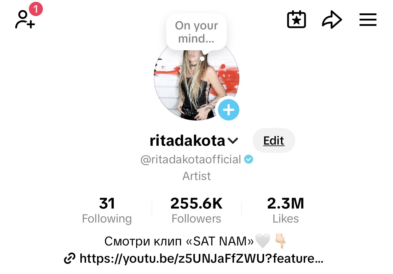 TikTok profile @ritadakotaofficial showing 255.6K followers and 2.3M likes